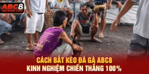 Cách bắt kèo đá gà abc8