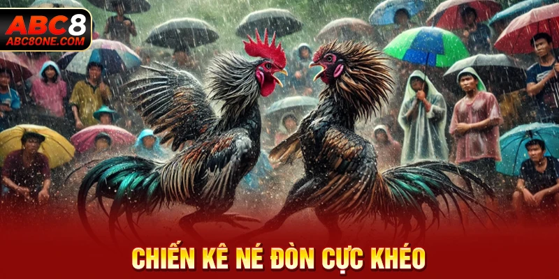 Chiến kê né đòn cực khéo