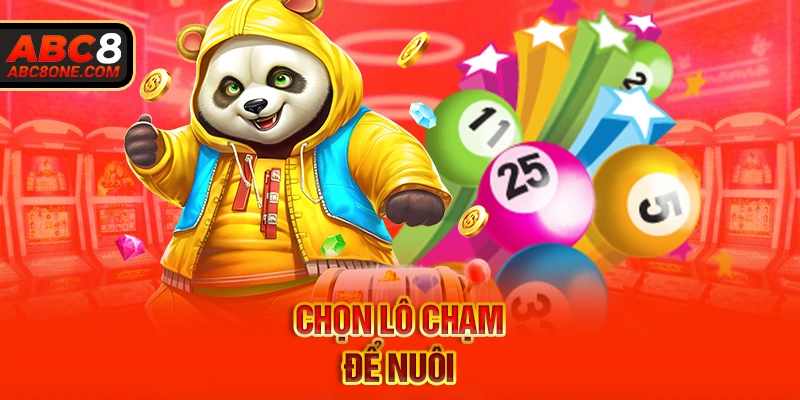 Chọn lô chạm để nuôi