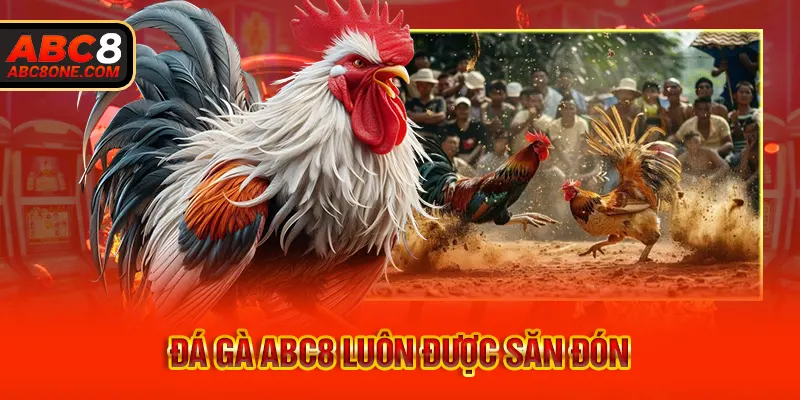 Đá gà ABC8 luôn được săn đón