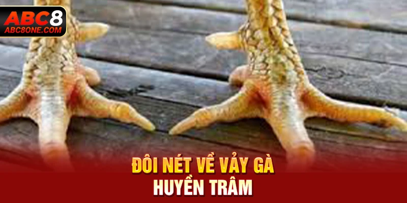 Đôi nét về vảy gà huyền trâm