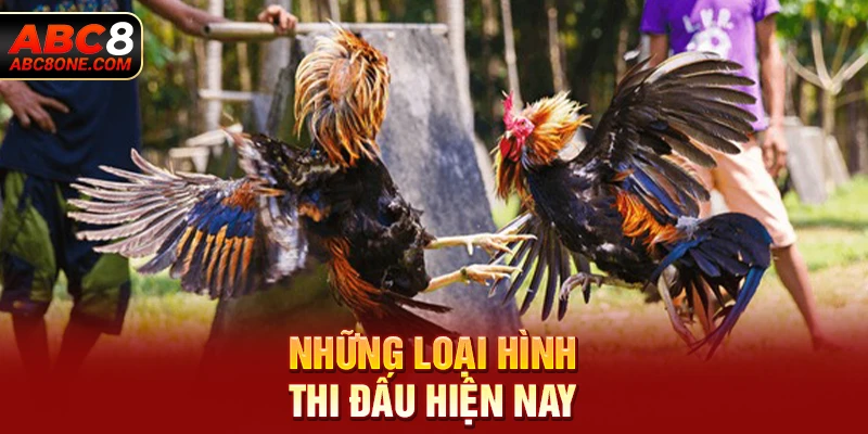 Những loại hình thi đấu hiện nay