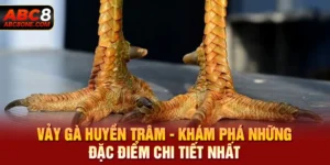 Vảy Gà Huyền Trâm - Khám Phá Những Đặc Điểm Chi Tiết Nhất