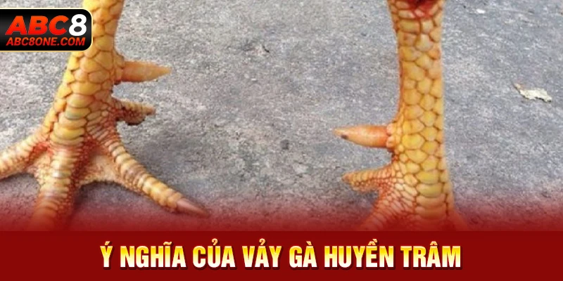 Ý nghĩa của vảy gà huyền trâm